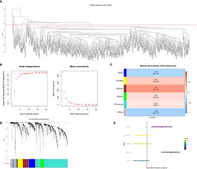 Identification of bicalutamide resistance-related genes and prognosis prediction in patients with prostate cancer